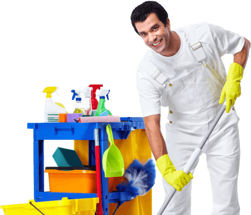 Cleaning professional